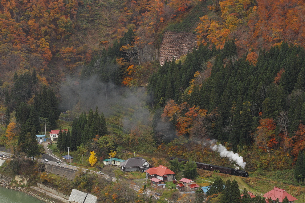 紅い木、黄色い木、白い煙 - 2014年紅葉・只見 - _b0190710_645342.jpg