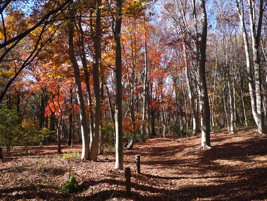 e0205713_20102355.jpg