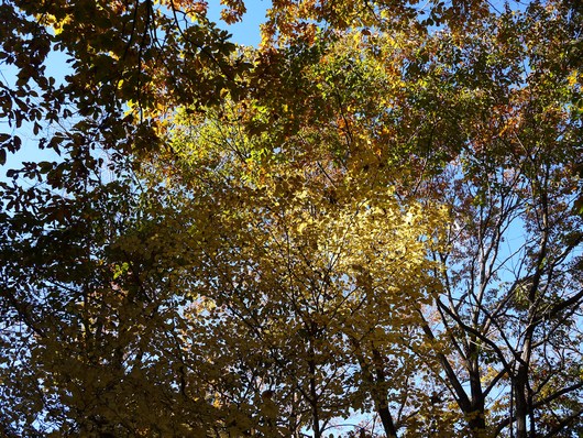 e0205713_20112976.jpg