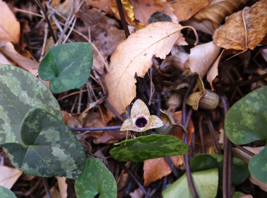 e0205713_20131427.jpg