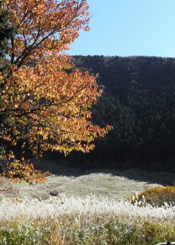 b0342516_09395171.jpg