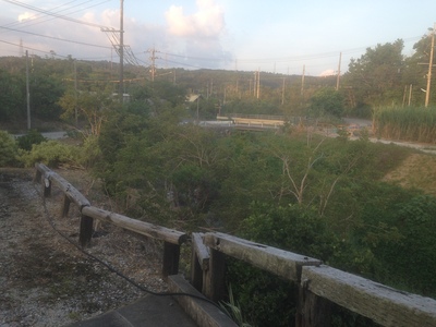 f0142721_17311292.jpg