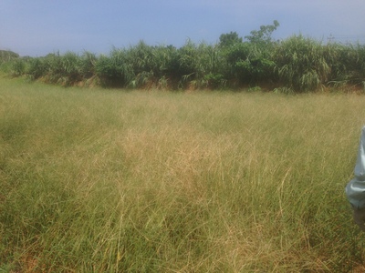 f0142721_17461465.jpg