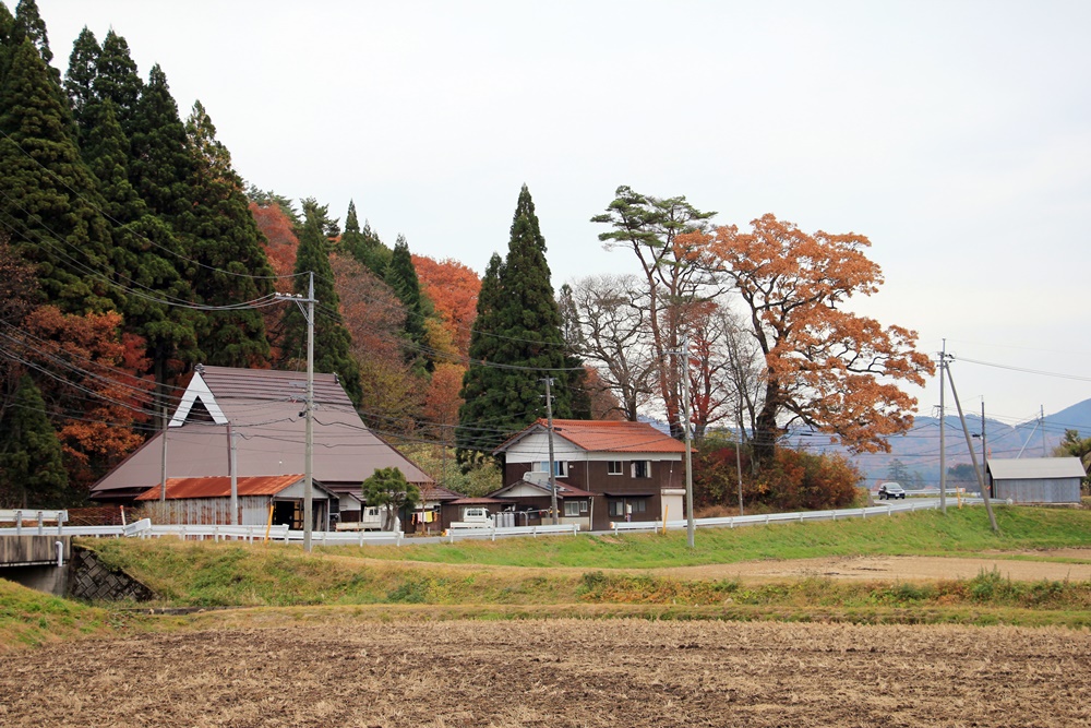 紅葉狩り（もみじがり）_f0310221_22353193.jpg