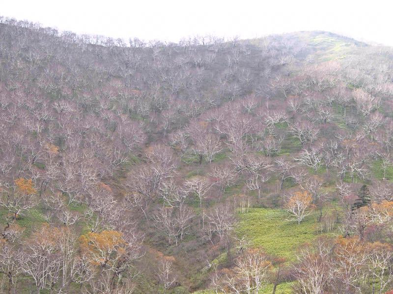 b0333524_0495880.jpg