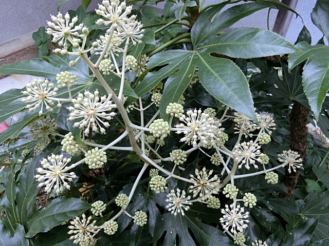 e0234924_1748103.jpg