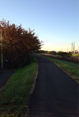 早朝ランニング 102_b0203925_13331344.jpg