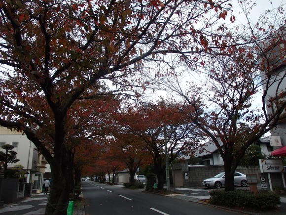 a0054240_2154950.jpg