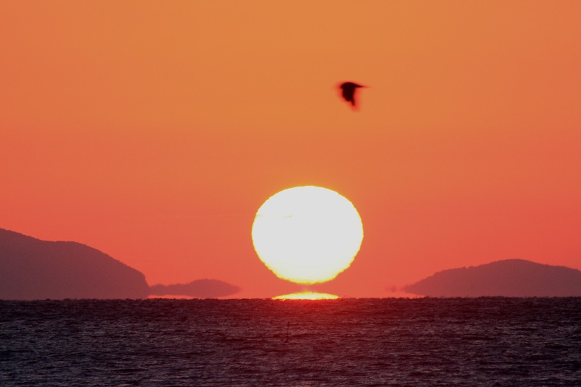 錦海湾の日の出　　　９月２８日（土）_c0330740_20473363.jpg