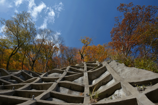 c0093046_8333037.gif