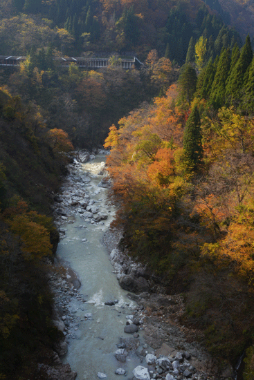 c0093046_83481.gif