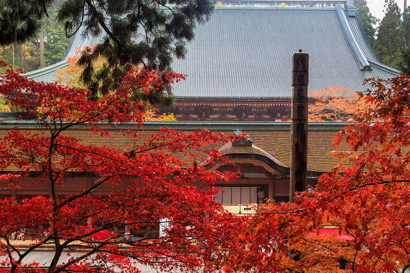 雨中紅葉・艶（比叡山延暦寺／東塔）_f0155048_20161566.jpg