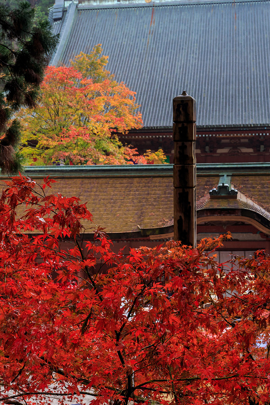 雨中紅葉・艶（比叡山延暦寺／東塔）_f0155048_20161742.jpg