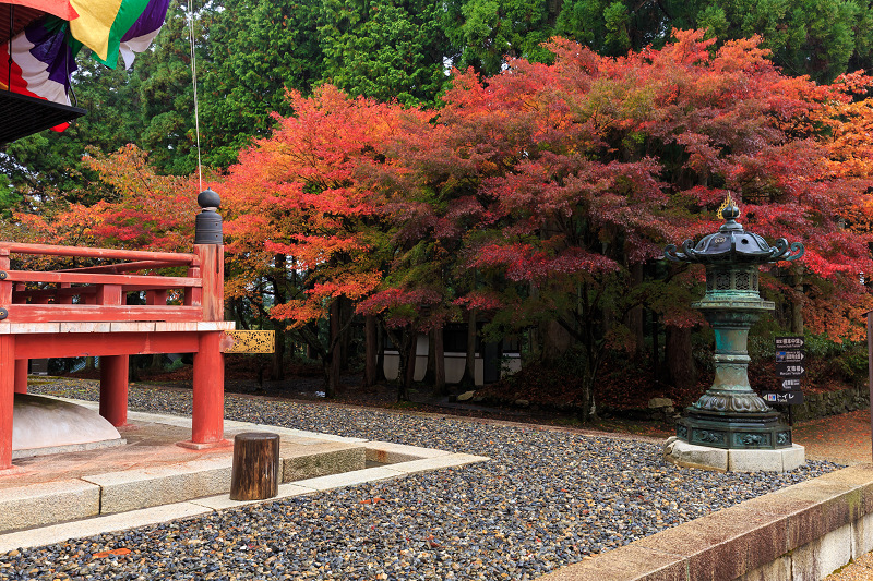 雨中紅葉・艶（比叡山延暦寺／東塔）_f0155048_20192561.jpg