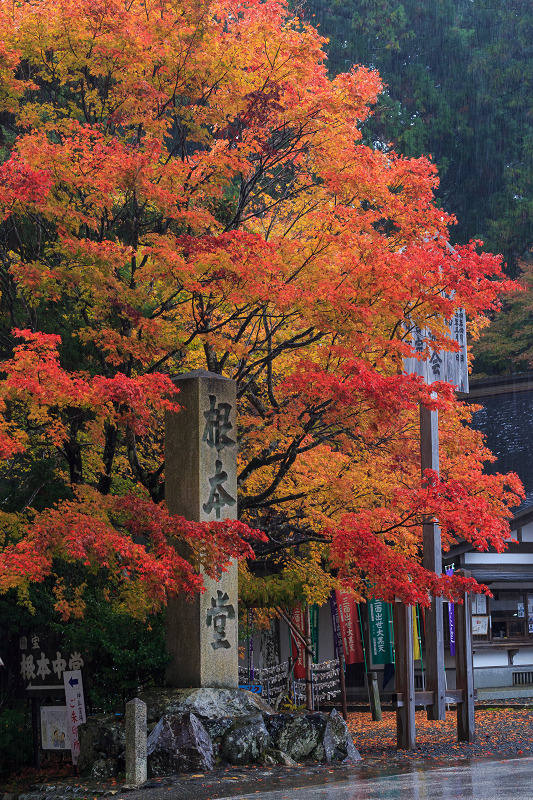 雨中紅葉・艶(比叡山延暦寺/東塔)_f0155048_201971.jpg