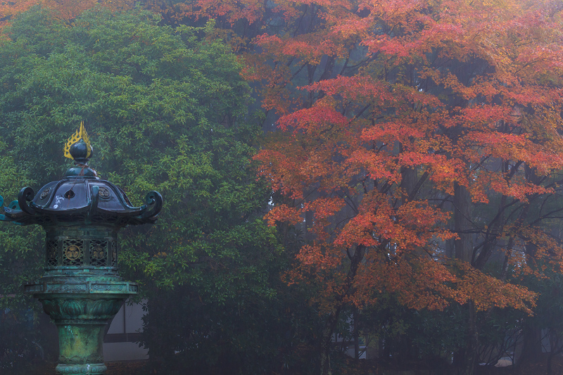 雨中紅葉・艶（比叡山延暦寺／東塔）_f0155048_20204815.jpg