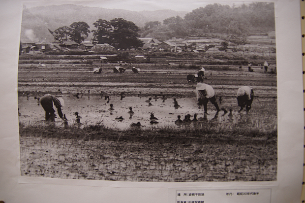 f0214649_4135916.jpg