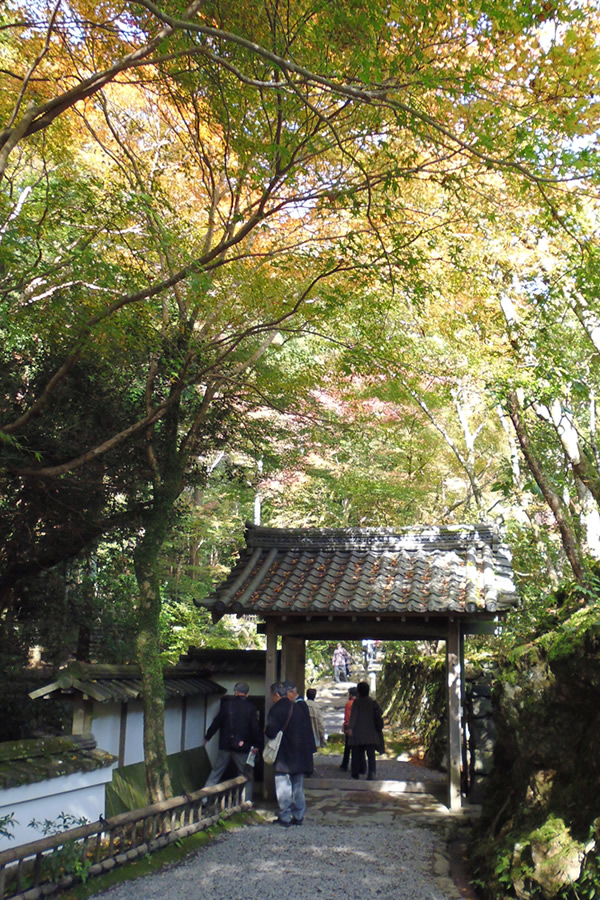 ぶらり京都-70 [鳥獣人物戯画と栂尾高山寺]_f0190950_17343468.jpg