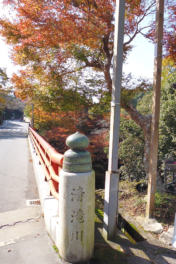 ぶらり京都-70 [鳥獣人物戯画と栂尾高山寺]_f0190950_17465282.jpg