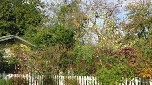 f0352451_21400489.jpg