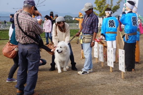 ﾊﾞﾙｰﾝﾌｪｽﾀ  結希ちゃんと(*ﾟ▽ﾟ*)_a0201257_16342594.jpg