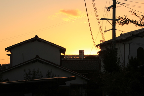 箕面自然 箕面 2014年 紅葉_d0202264_711752.jpg