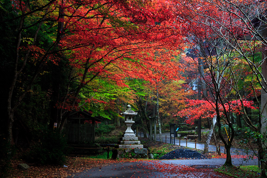 紅葉2014！　～比叡山延暦寺　横川～_b0128581_21164340.jpg