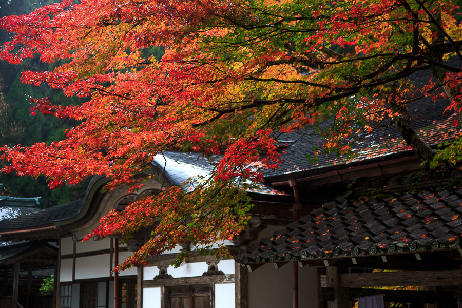 紅葉2014！　～比叡山延暦寺　横川～_b0128581_21173824.jpg