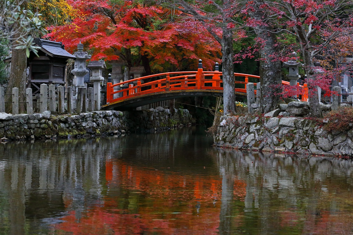 紅葉2014　龍泉寺_e0244181_2292933.jpg