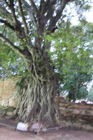 b0207284_652751.jpg