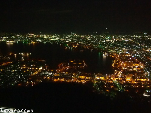 函館の旅～100万ドルの夜景～_e0211786_15133109.jpg