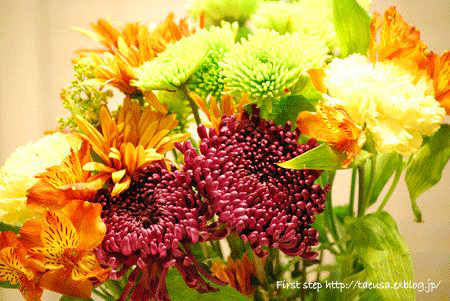 b0148991_2041133.gif
