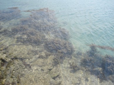 f0008991_20432525.jpg