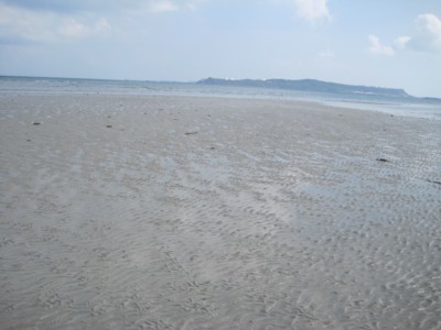 f0008991_20444957.jpg
