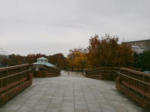d0000995_23154074.jpg