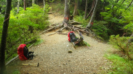 南アスプル縦走・夏休み日記 5_e0111396_0393574.jpg