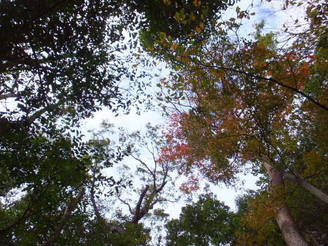 a0271502_16574368.jpg