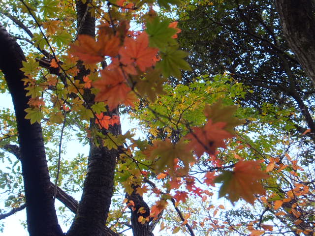 a0271502_17191061.jpg