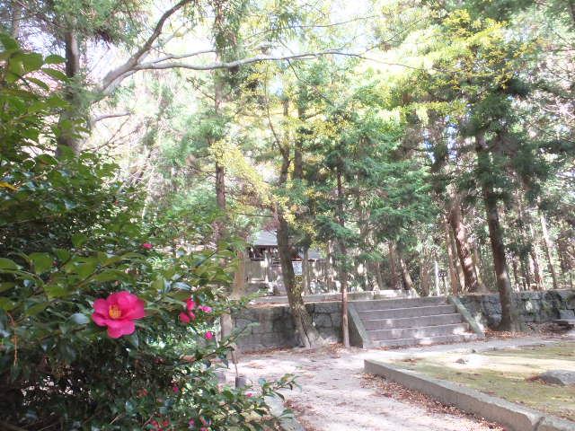 a0271502_17232453.jpg