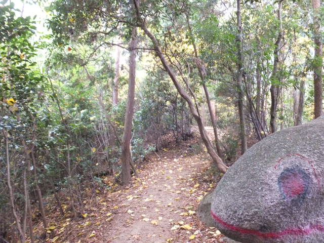 a0271502_17303399.jpg