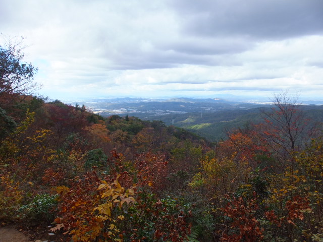 a0271502_17355015.jpg
