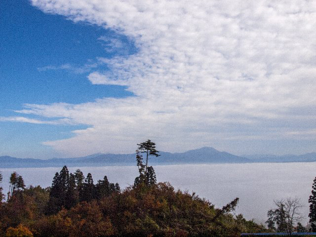 c0008502_1642433.jpg
