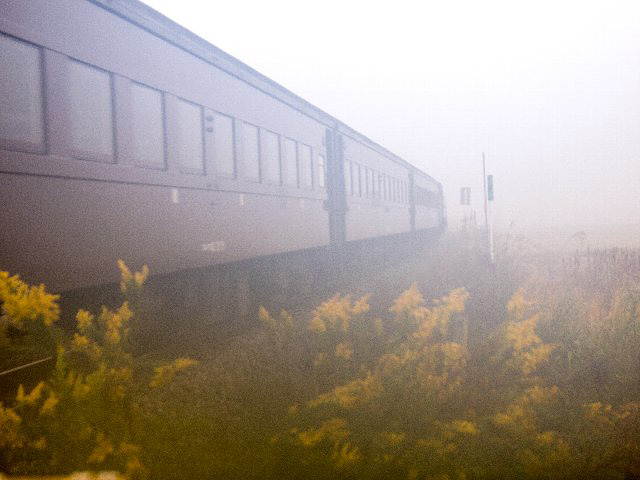 c0008502_1653534.jpg