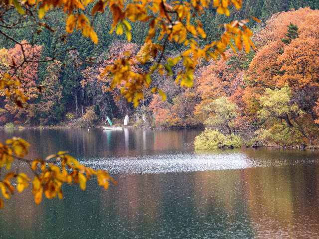 c0008502_63955.jpg