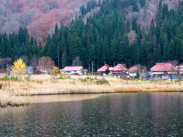 c0008502_911455.jpg