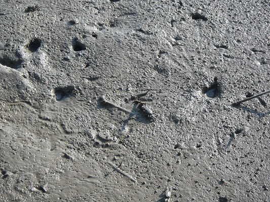 f0187402_22562075.jpg