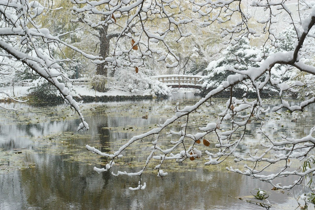 そして一気の冬景色の道庁_b0225108_09590390.jpg