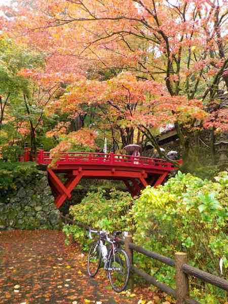 雨の横蔵寺_b0000209_21191460.jpg