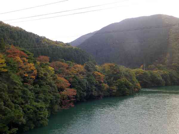 雨の横蔵寺_b0000209_21205310.jpg