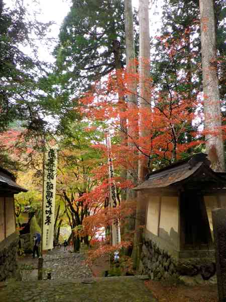 雨の横蔵寺_b0000209_2121387.jpg